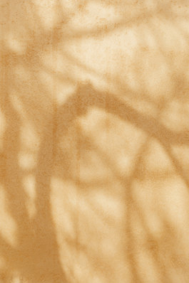  hugo toro gigi restaurant saint tropez ramatuelle paris society