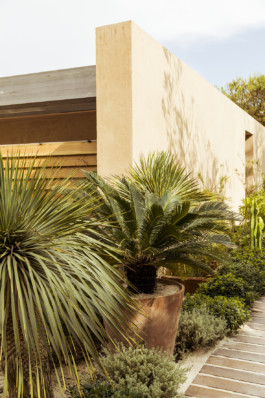  hugo toro gigi restaurant saint tropez ramatuelle paris society