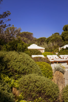  hugo toro gigi restaurant saint tropez ramatuelle