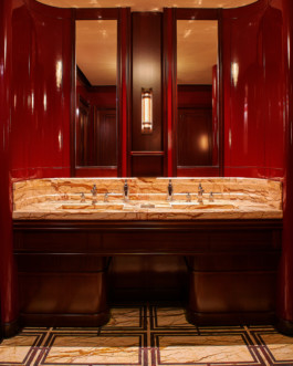  LOUIS VUITTON HUGO TORO