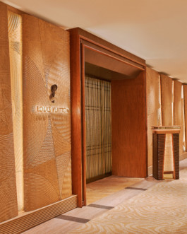  JP LOUIS VUITTON HUGO TORO