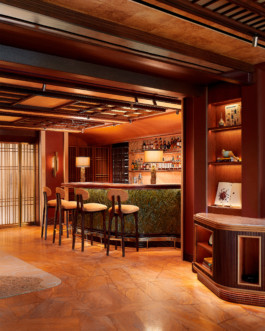  LOUIS VUITTON HUGO TORO